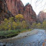 Zion National Park: A Majestic Journey Through Nature's Stunning Red Rock Landscapes and Trails