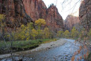 Zion National Park: A Majestic Journey Through Nature's Stunning Red Rock Landscapes and Trails